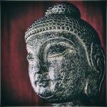 Buddha 4