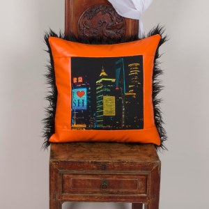 ILoveShanghai framed